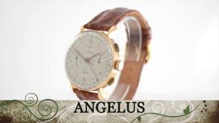 Angelus Chronodato Calibre 215 [upl. by Stinson180]