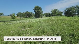 Researchers discover rare remnant prairie in north Ames [upl. by Asor]