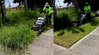 This Overgrown Corner Block Was An Eye Sore  Now The Tidiest In The Street asmr [upl. by Nodnab]