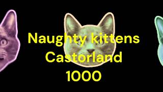 Puzzle Time Lapse Naughty kittens Castorland 500 [upl. by Ahsiele805]