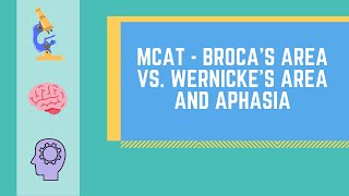 Brocas Area vs Wernickes Area and Aphasia MADE EASY  MCAT [upl. by Ahsiral522]