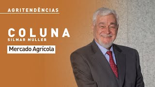 Agritendências Mercado Agrícola com Silmar César Muller [upl. by Eckel]