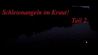 Schleienangeln im Kraut Teil 2 [upl. by Labinnah]