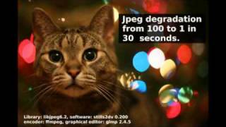 jpeg quality degradation from 100 to 1 in 30 seconds [upl. by Enirahtac]