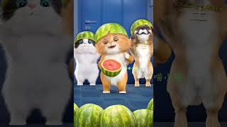 Funny pet videos [upl. by Danie]