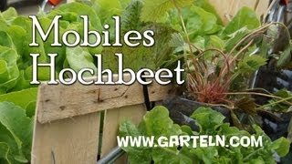 Mini Hochbeet im Einkaufswagen [upl. by Vito]