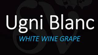 How to Pronounce Ugni Blanc The Grape behind Cognac amp Armagnac Brandy [upl. by Airrej]