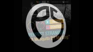 Perfect Stranger  A Mosquito Bit My Leg Komorebi rmx [upl. by Rolan]