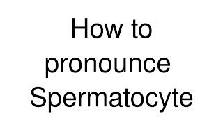 How to Pronounce correctly Spermatocyte [upl. by Amye]