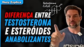 ENTENDA A DIFERENÇA ENTRE TESTOSTERONA E ESTERÓIDES ANABOLIZANTES  Muzy Explica [upl. by Nirb634]