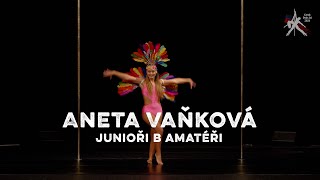 Aneta Vaňková  Czech Pole Art 2024  Junioři B Amatéři [upl. by Cliffes675]