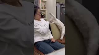 2024 best animals videos cutecatvideos funnycatvideos cuteanimals [upl. by Uok]