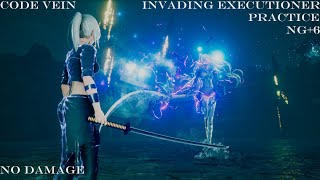 Code Vein  15 Invading Executioner No Damage  Practice Dark Mage Build NG6 [upl. by Olaf]