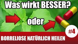 BorrelioseTherapie mit natürlichen Antibiotika Borreliose Behandlung natürlich 4 [upl. by Nalra988]