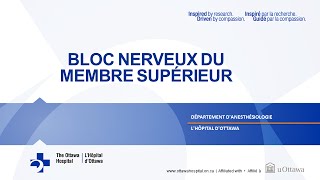 2 Bloc Nerveux du Membre Supérieur [upl. by Nyltac]