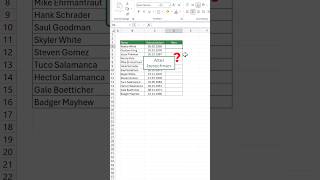 Das Alter in Excel berechnen 🙈 excel tipps tricks microsoftambassador [upl. by Bondon]