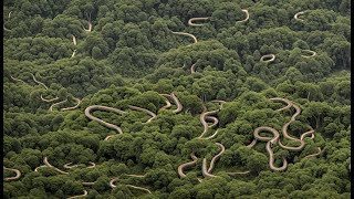 The Awesomeness of Brazils Snake Island The Mystery of the Island and the Ban on Human Arrivals [upl. by Kelula]