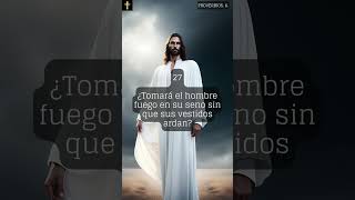 proverbios 063 proverbs fe biblia bible frasesbiblicas fecristiana sabiduria cristiano [upl. by Bigler]