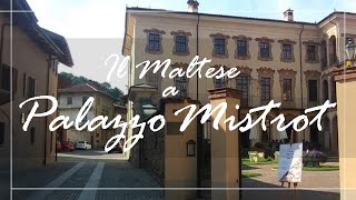 Il Maltese a Palazzo Mistrot  Three events in Villarbasse [upl. by Imeon166]