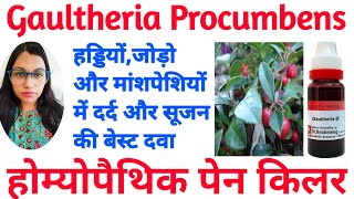 Gaultheria Homeopathic Medicine  Gaultheria Procumbens Homeopathic Medicine Uses  pain Killer [upl. by Enieledam118]