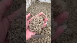 खेती करने का नया तरीका  Chinese Rice Crab Farming 🦀 By Wild Adventures [upl. by Calder]