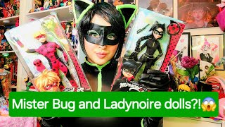 They use to make Mister Bug and Ladynoire dolls  Miraculous Ladybug Doll review and unboxing [upl. by Chance]