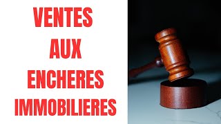 Acheter aux Ventes aux enchères immobilières avec Guillaume Virondeau guillaumevirondeau [upl. by Xyno]