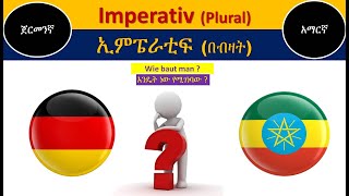 GermanAmharic  Imperativ Plural  ኢምፔራቲፍ በብዛት [upl. by Obbard]