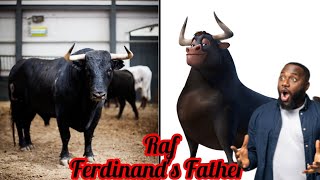 Ferdinand Characters in Real Life 2023ALL CHARACTERS IN REAL LIFE 🐂 🐐 bulls ferdinandovalencia [upl. by Barbe]