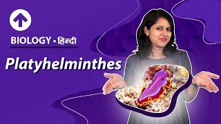 Platyhelminthes  Hindi  Diversity In Living Organisms  Biology Class 9 [upl. by Eyoj]