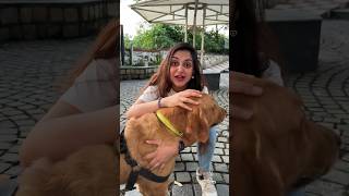 That Dog Lover Girl 🐶😂 shorts trendingshorts comedy funny viral meghachaube [upl. by Nolyk]