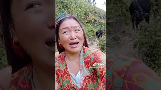 Radai ek nepali cheli [upl. by Suhcnip14]