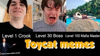 Reacting To Toycat Memes [upl. by Lasko]