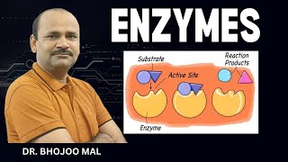 Enzyme Introduction Class 11 Biology  by Dr Bhojoo Mal [upl. by Nylednarb]