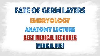 Fate of three Germ Layers in Embryology  Anatomy [upl. by Brien]