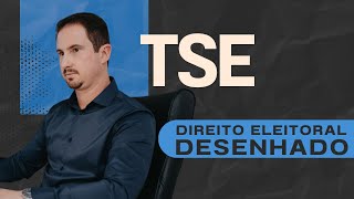 TSE  Direito Eleitoral Desenhado [upl. by Atnauq979]