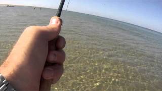 Fly Fishing the Monomoy Flats in Chatham MA [upl. by Jan282]