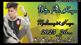 WijaPiteVersion StudioKoyaGondiMalkangiriDj Song2k25DjSongDj Desha BhaiJhili G [upl. by Amalea]