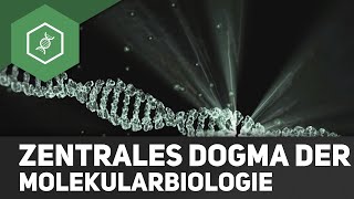 Zentrales Dogma der Molekularbiologie [upl. by Lewls]