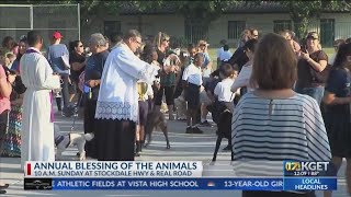 Unitarian Universalist Fellowship host annual quotBlessing of the Animalsquot Sunday [upl. by Hegyera]