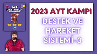 Destek Hareket Sistemi  3 AYT Biyoloji Kampı Konu Anlatımı 11Sınıf 2024 Tayfa [upl. by Ahsinal]