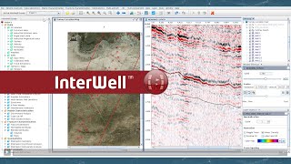 InterWell Presentation [upl. by Lanevuj]