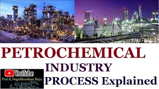 Petrochemical Industry  Process Overview  Detailed Explanation [upl. by Tunk230]