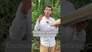 Se você profetizar o milagre vai acontecerbiblia motivacional reflexão [upl. by Ellenehs917]