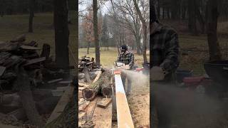 The Satisfying Process of Breaking a Log Down with a Chainsaw Mill oddlysatisfying viralreel [upl. by Aivatra709]