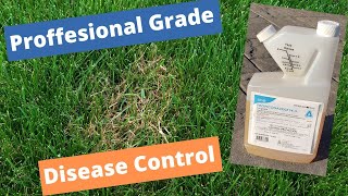 Fight lawn disease the professional way PROPICONAZOLE Stop wasting money on those weak products [upl. by Aniale]