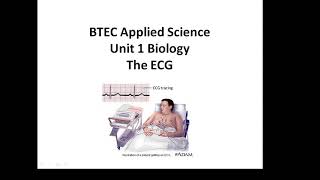 BTEC Applied Science Unit 1 Biology The ECG [upl. by Lamoureux]