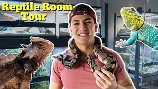 INSANE REPTILE ROOM TOUR [upl. by Uyekawa]