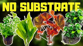 TOP 10 NO SUBSTRATE BEGINNER AQUARIUM PLANTS [upl. by Ednyl281]