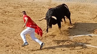 Festejos Taurinos en Massamagrell 2024 Toros de El Torero y Sergio Centelles CT Gent del Barri [upl. by Amero218]